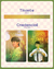 Credencial + Tirante - Our Time (Hae In) - comprar online