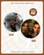 HandFan - Century Of Love (DaouOffroad) - comprar online