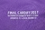 Real Madrid Away UCL 2016 Ronaldo #7 M/L na internet