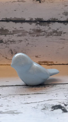 PAJARO POLY MAYORISTA en internet