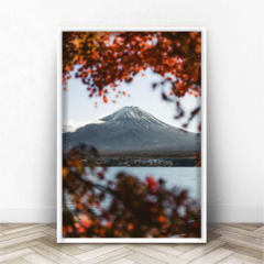 FUJI MOUNT en internet