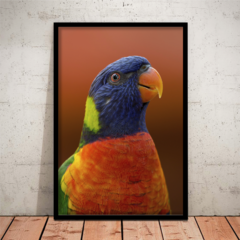 LORIINI BIRD