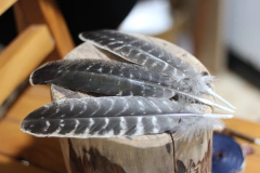 PENA RAJADA BIG EAGLE - comprar online