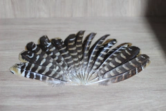 PENA WEST OWL na internet