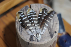 PENA WEST OWL - comprar online