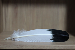 PENA AMERICAN EAGLE APACHE