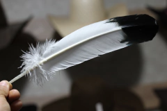 PENA AMERICAN EAGLE APACHE na internet