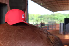 BONE HAT SHAPE SNAPBACK RED WHITE - HAT SHAPE BRAND 