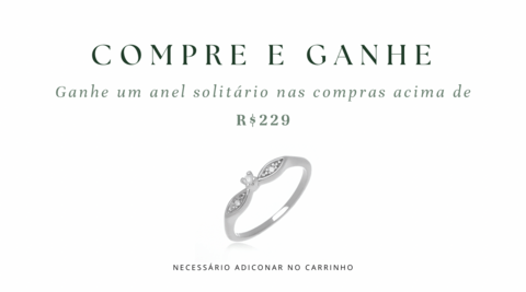 Carrossel 1