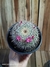 Mammillaria Hibrida (HB03) pt14 - comprar online