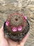Mammillaria spinosissima rubrispina pt11 - comprar online