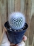 Parodia Rudibuenekeri na internet