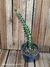 Alluaudia procera pt14 (35cm) - comprar online