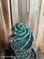 Cereus forbesii v. spiralis 'cacto parafuso' pt20 25-30cm alt na internet