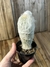 Espostoa melanostele inermis pt09 - comprar online