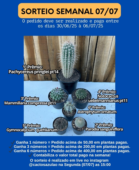 Carrossel 1