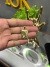 Pingente Placa Jesus M - Banho Ouro 18k - comprar online