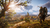ASSASSIN'S CREED EDITION COMPLETA - comprar online