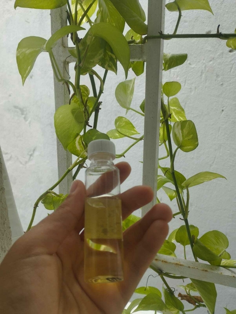 Colageno 20ml