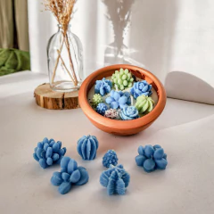 Imagen de Cuenco cerámica cactus