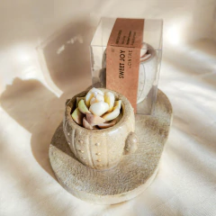 Cactus Mini - Cintre