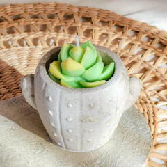 Cactus Mini en internet