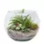 AQUÁRIO 4,5L VIDRO 925 - comprar online
