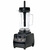 MAX BLENDER 2L SKYMSEN BM2