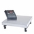 BALANÇA INDUSTRIAL 300KG RAMUZA DP-300
