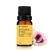 Óleo Essencial Gerânio 10ml - comprar online