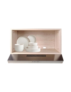 Campana Extractora De Cocina TULIPAN Con Alacena