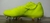 Imagem do Chuteira Adidas Nemeziz 18.1 Campo BC0294