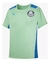Camisa Treino Palmeiras Puma 22/23 Infantil