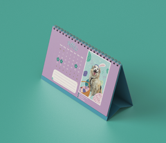 Calendário dos rocamboles 2025 - Rocamboloja