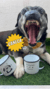 Banner rotativo 2