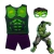 Fantasia Hulk com máscara (085c) | 02 ao 16 - comprar online