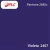FLC VINIL ADESIVO BRILHO 0,08 VIOLETA