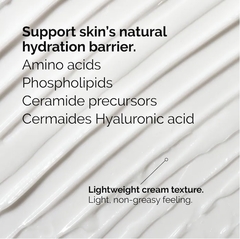 Imagen de THE ORDINARY Natural Moisturizing Factors + HA - 30 ml