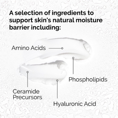 THE ORDINARY Natural Moisturizing Factors + HA - 30 ml en internet