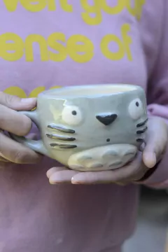 TAZON TOTORO en internet