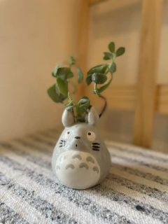 Pequeña MACETA Totoro en internet