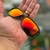 Óculos De Sol Tincan Carbon Lentes Ruby - Company Vip