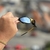 Juliet Corvette Lentes Liquid Metal - Kit Preto