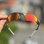 Óculos De Sol Romeo 2 Fire Flame Lentes Ruby Kit Branco na internet