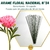 ARAME Nº 24 - 30 CM VERDE PARA FLORES NACIONAL GALVANIZADO ENCAPADO ( NÃO DESENCAPA ) 50 UNIDADES