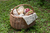 Kit 2 G - loja online
