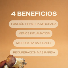 PACK DEFENSAS en internet