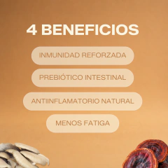 PACK BOOSTERS - Futuro Fungi