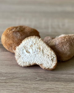 Melena de León en Polvo x 100g