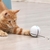 Brinquedo Bola interativa PoliPet na internet